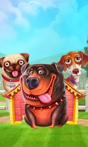 The Dog House